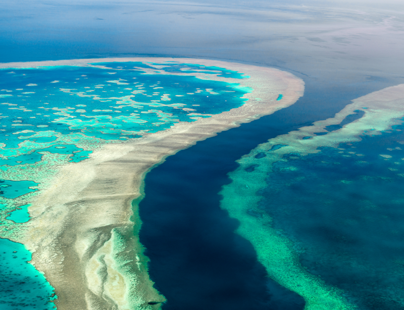 grande barriere de corail australie